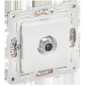 Розетка TV оконечная SKANDY SK-A12W арктич. бел. IEK SK-A10-O-K01