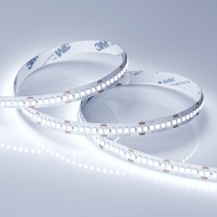 Лента RT-A240-10mm 24В Cool 8К (19.2Вт/м IP20 3528) (19.2 Вт/м IP20) (уп.5м) Arlight 018728(2)
