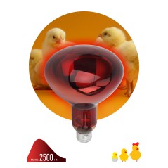 Излучатель тепловой (лампа инфракрасная) ИКЗК 220-250 R127 250Вт E27 для обогрева животных и освещения Эра Б0055442