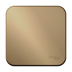 Выключатель 1-кл. ОП Blanca 10А IP20 (сх. 1) с самовозвратом с изолир. пластиной титан SE BLNCA101014