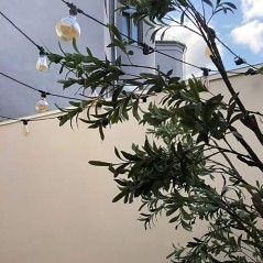 Гирлянда для сменных ламп Белт Лайт Holiday 10 ламп 8м черн. IP65 GAUSS HL070