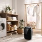 Осушитель воздуха BD30MN BLACK Ballu НС-1247966 Осушитель воздуха BD30MN BLACK Ballu НС-1247966