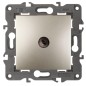 Розетка телевизионная проходная TV Elegance 14-3102-04 IP20 шампань Эра Б0034299