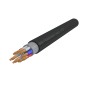 Кабель КГВВнг(А)-LS 10х2.5 (N PE) 220/380-3 (м) АЛЮР 00-00024483 Кабель КГВВнг(А)-LS 10х2.5 (N PE) 220/380-3 (м) АЛЮР 00-00024483