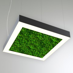 Светильник светодиодный RVE-LBX-MOSS-HOLE-BOX-800-P 81Вт 4000К 800х800х100мм подвесной шир. рассеив.-80мм бел. RVElektro RVE0000