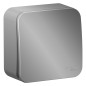 Выключатель 1-кл. ОП Blanca 10А IP20 (сх. 1) 250В алюм. SE BLNVA101003