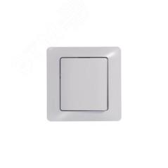 Кнопка нажимная 1-кл. СП Glossa 10А IP20 (сх. 1) 10AX механизм бел. SE GSL000115