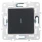 Выключатель проходной 1-кл. SKANDY 10А SK-V08G с индикацией графит IEK SK-V12-1-10-K53