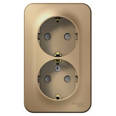 Розетка 2-м ОП Blanca 16А IP20 250В с заземл. защ. шторки титан SE BLNRA011204