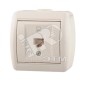 Розетка компьютерная 1-м ОП Nata RJ45 бел. LEZARD 710-0200-139 Розетка компьютерная 1-м ОП Nata RJ45 бел. LEZARD 710-0200-139