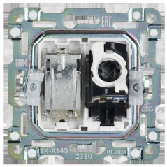 Розетка двойная TV+RJ45 кат.5E SKANDY SK-A14S серебр. IEK SK-AK20-1-K23