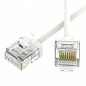 Патч-корд неэкранированный Ultra SLIM CAT6 U/UTP 4х2 32 AWG LSZH 1.7м бел. DKC RN6UU4517WH-32 Патч-корд неэкранированный Ultra SLIM CAT6 U/UTP 4х2 32 AWG LSZH 1.7м бел. DKC RN6UU4517WH-32