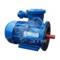Электродвигатель АИМУ 100 L6 У1 380В 1ExdIIBT4 2.2/1000 IM 2081 Элком 01.02.02.000081 Электродвигатель АИМУ 100 L6 У1 380В 1ExdIIBT4 2.2/1000 IM 2081 Элком 01.02.02.000081