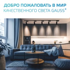 Адаптер Track однофазный для подключения светильника к трековой системе черн. GAUSS TR124