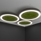 Светильник светодиодный RVE-LBX-MOSS-HOLE-RING-500-P 36Вт 4000К 500х500х100мм подвесной шир. рассеив.-80мм бел. RVElektro RVE000