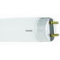 Лампа люминесцентная FT8-10W/54 10Вт T8 6500К G13 Camelion 3006 Лампа люминесцентная FT8-10W/54 10Вт T8 6500К G13 Camelion 3006