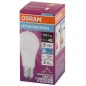 Лампа светодиодная LED Antibacterial A 13Вт грушевидная матовая 6500К холод. бел. E27 1521лм 220-240В угол пучка 200град. бактер