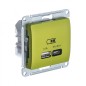 Розетка USB Glossa тип A+C 45Вт QC PD высокоскор. ЗУ механизм фисташ. SE GSL001029 Розетка USB Glossa тип A+C 45Вт QC PD высокоскор. ЗУ механизм фисташ. SE GSL001029