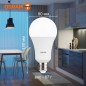 Лампа светодиодная LED Value LVCLA250 30SW/865 230VFR 30Вт A матовая 6500К холод. бел. E27 2400лм угол пучка 180град. 220-240В п Лампа светодиодная LED Value LVCLA250 30SW/865 230VFR 30Вт A матовая 6500К холод. бел. E27 2400лм угол пучка 180град. 220-240В п