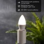 Лампа светодиодная 9.5Вт CN свеча 4000К нейтр. бел. E27 903лм Rexant 604-026 Лампа светодиодная 9.5Вт CN свеча 4000К нейтр. бел. E27 903лм Rexant 604-026