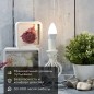 Лампа светодиодная 11.5Вт Свеча (CN) 2700К тепл. бел. E14 1093лм Rexant 604-027