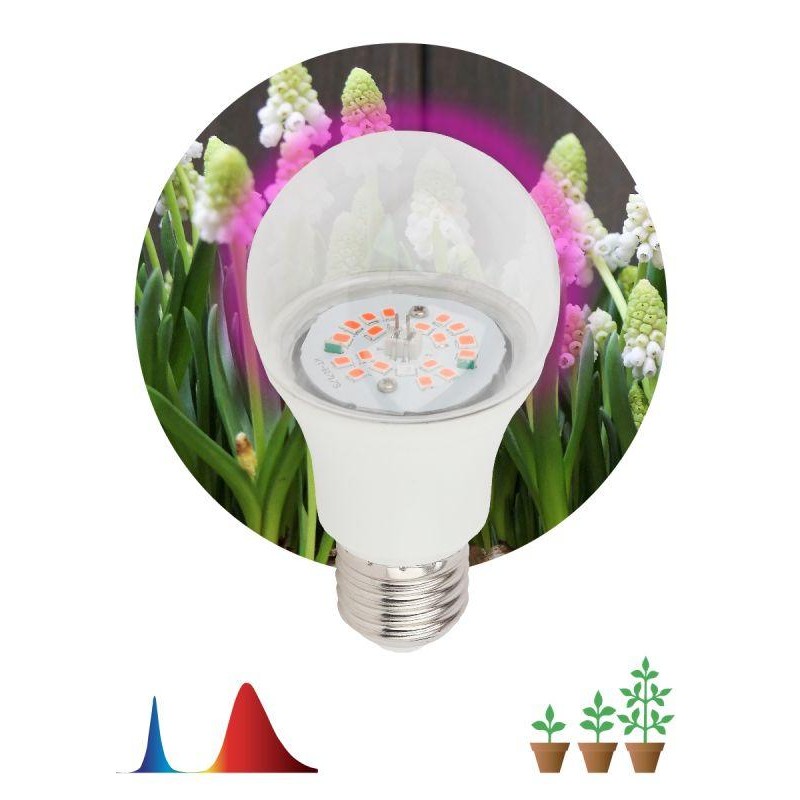 Лампа светодиодная FITO-14W-RB-E27-K 14Вт A60 грушевидная прозрачная 1310К E27 130-270В для растений красн./син. спектр Эра Б003