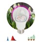Лампа светодиодная FITO-14W-RB-E27-K 14Вт A60 грушевидная прозрачная 1310К E27 130-270В для растений красн./син. спектр Эра Б003