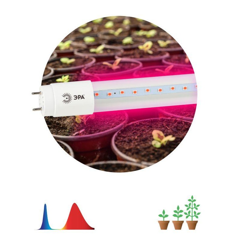 Лампа светодиодная FITO-9W-RB-Т8-G13-NL 9Вт T8 линейная 48LED 2835 IP20 35000ч для растений красн./син. спектр стекло Эра Б00429