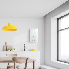 Колонка газовая GWH 10 Fonte LPG ZANUSSI НС-1139055