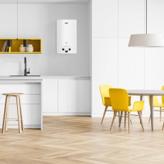 Колонка газовая GWH 10 Rivo ZANUSSI НС-1180793